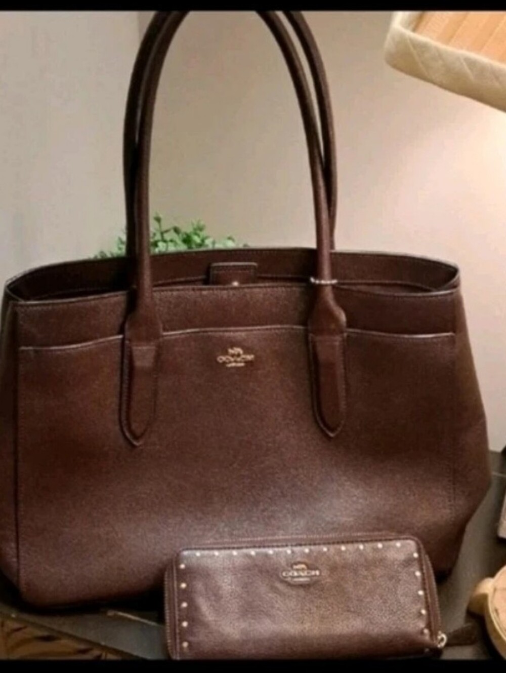 Coach Brown Leather Tote with Matching Wallet